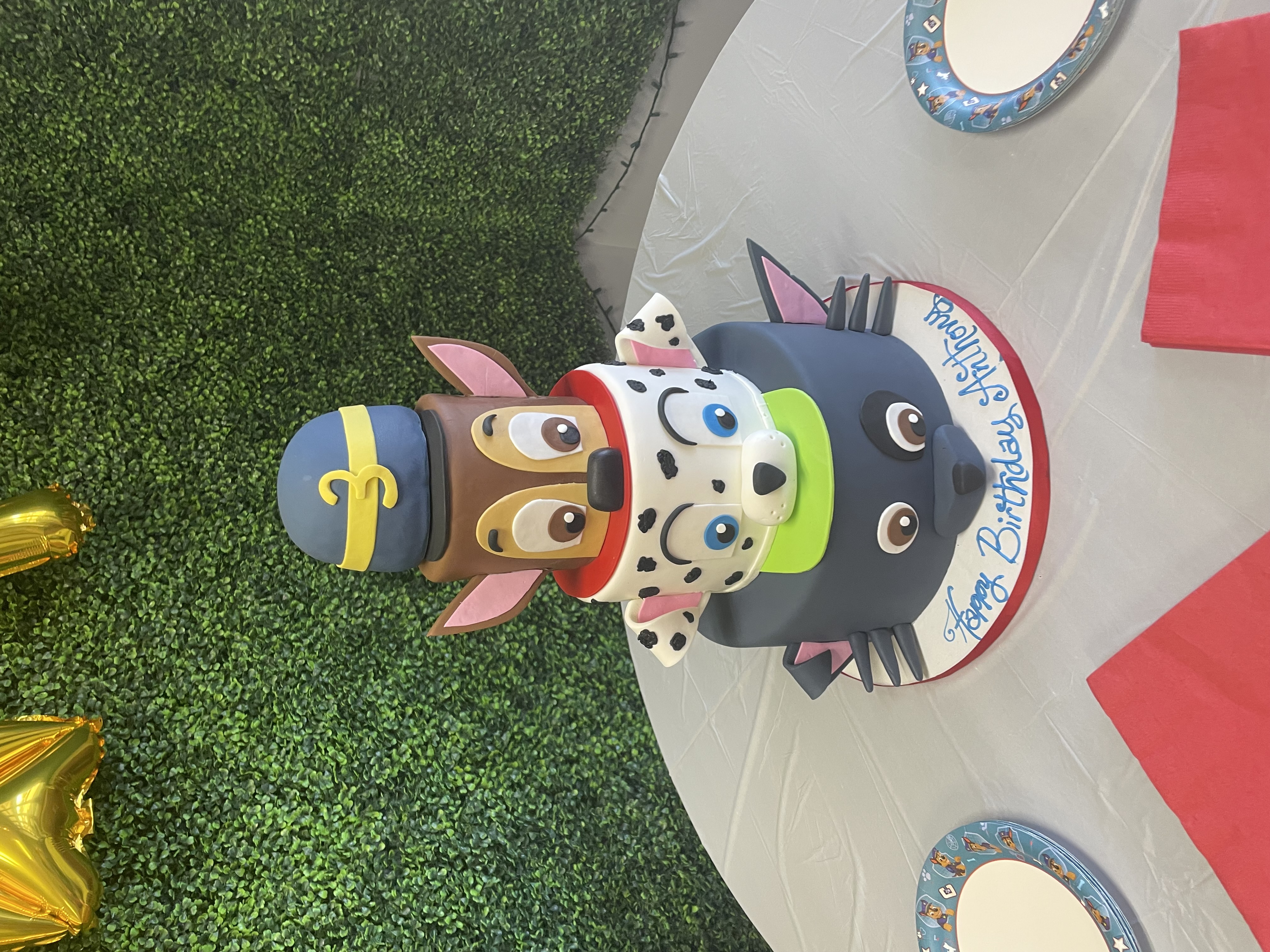 Paw Pawtrol Themed Party